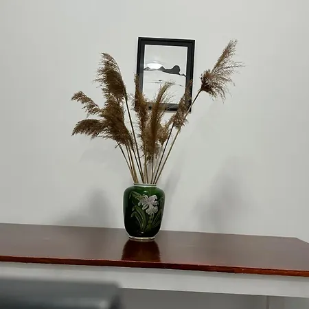 アパート Airport Belgrade 2bedrooms