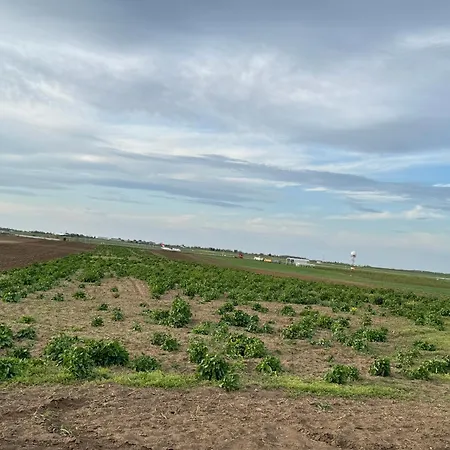 Airport Belgrade 2bedrooms * Surčin